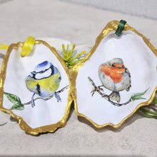  NEW Robin & Blue Tit BIrds Hanging Ornament Oyster Shells